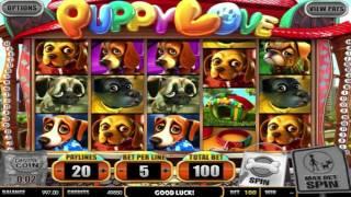 Free Puppy Love Slot by BetSoft Video Preview | HEX