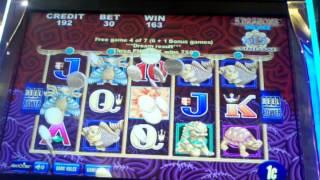 Aristocrat 5 dragons deluxe bonus round free spins slot machine