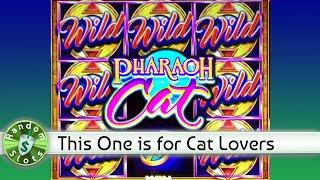 Pharaoh Cat slot machine Bonus