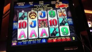 Banana King Slot Machine Bonus and Line Hit