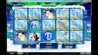Wild Gambler 2 - Arctic Adventure - 7 Freegames with 2,77€ Bet! [ECHTGELD]