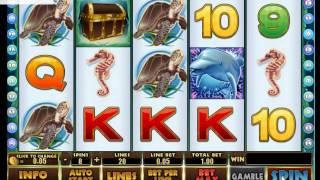 SCR888  Dolphin Reef Slot Game in iBET Online Casino