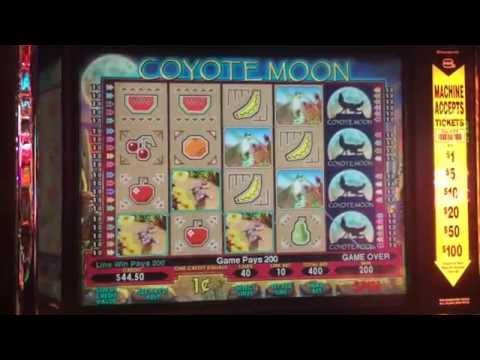 Coytote Moon $4 Max Bet Bonus ** SLOT LOVER **