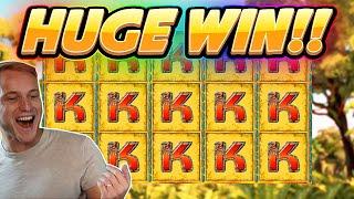 HUGE WIN! Book Of Maya BIG WIN - Casino Games from Casinodaddy live stream
