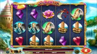 Shangrila• - Onlinecasinos.Best