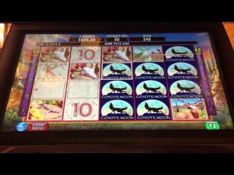 Coyote Moon better than handpay high limit slots