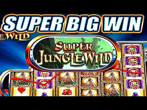 5¢ SUPER JUNGLE WILD SLOT MACHINE BONUS BIG WIN Wms Slots