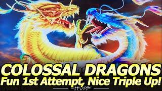 Colossal Dragons Slot Machine - Nice Triple-Up Session!  Live Play and Features in Fun, Active Slot!
