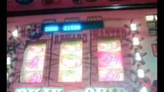Fruit Machine Cool Games Billy The Quid £70 Jackpot
