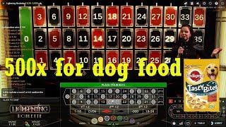 Lightning Roulette BIG WIN - 500x ?? And eating dog food