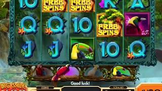 BIRDS OF FORTUNE Video Slot Casino Game with a FREE SPIN BONUS