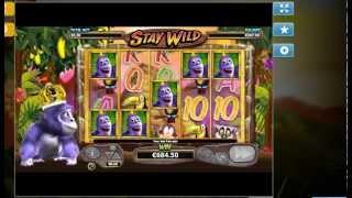 Gorilla Go Wild Slot -  Stay Wild Feature - Wildline - Big Win