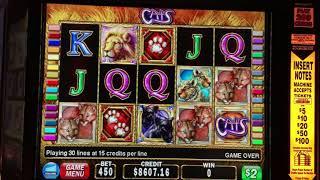 Cats Slot Machine Play Jackpots • Slots N-Stuff
