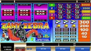 Zany Zebra ™ Free Slots Machine Game Preview By Slotozilla.com