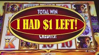 $1 LEFT into BIG WIN! ON BUFFALO GOLD SLOT MACHINE!