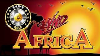 Gold Coin Jackpots Slot - Wild Africa - NICE Bonuses!