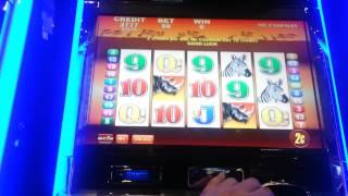 MR. CASHMAN Live *Rapid* Gameplay! LOTS OF BONUSES!