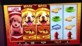 •OMG! PUPPIES! Slot machine•WMS•MAX BET•First attempt!!