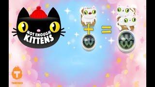 Not Enough Kittens Online Slot from Thunderkick