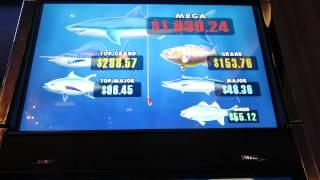 Reel 'Em In! Greatest Catch Slot Machine Bonus-big Win!! ~ WMS