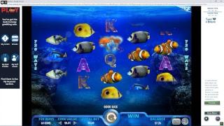 Live Online Play 01/29/19