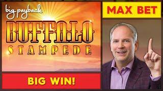 Buffalo Stampede Slot - BIG WIN SESSION, LOVED IT!