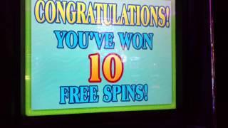BIG WIN $20 bet High Limit Lotus Flower IGT Slot machine free spins