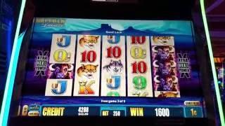 Good WIn Buffalo Deluxe Max Bet Free Spin bonus $2.50 bet slot machine