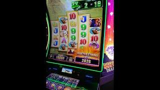 Buffalo Diamond Live - Slot Machine Bonus