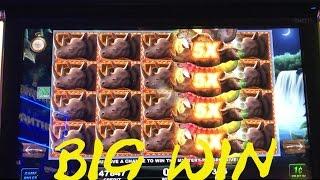 Big 5 Safari Live Play max bet with BIG WIN Progressive ITG Slot Machine
