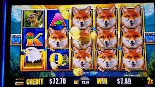 Birds Of Pay Slot Machine Bonus Win and Line Hit
