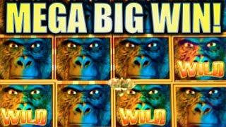•AMAZING MEGA BIG WIN!!• GORILLA CHIEF (WMS) | MAX BET SUPER BIG WIN! Slot Machine Bonus