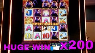 BUFFALO STAMPEDE Slot Machine •BIG WIN•Line Hit x200
