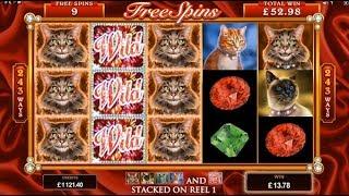 Pretty Kitty Online Slot from Microgaming - Free Spins & Expanding Symbols Feature!