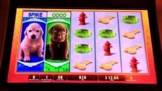 OMG Puppies Slot Machine Bonus Bally's Casino Las Vegas