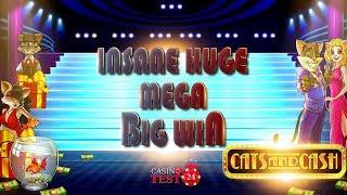 MUST SEE!!! INSANE HUGE MEGA BIG WIN ON CATS AND CASH SLOT (PLAY'N GO) - 5€ BET!