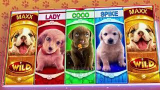 OMG Puppies - Jackpot Party Casino Slots