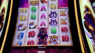 FAVORITE BUFFALO SLOTS• • Buffalo  Grand Slot Machine Live Play Max Bet