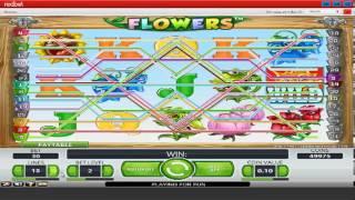 Flowers Video Slots At Redbet Casino