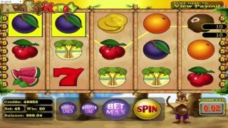 FREE Monkey Money ™ Slot Machine Game Preview By Slotozilla.com