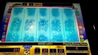 The Amazing Live Sea-Monkeys Slot Machine Free Spin Bonus $.05 Denom New York Casino Las Vegas