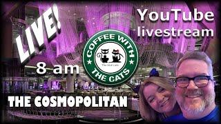 LIVE: Coffee with the Cats: 08/25/2019