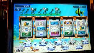 Gold Fish 2 Slot Machine Bonus Win (queenslots)