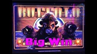 •Buffalo Gold Slot Machine•Nice Win!•