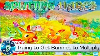 Splitting Hares Slot Machine