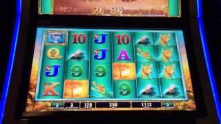 Raging rhino slot machine free spins