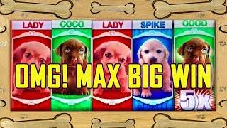•OMG! PUPPIES• •BIG WIN• MAX BET!  - GET THOSE PUPPIES!!!! - ALL BONUS FEATURES