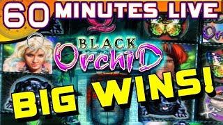 ★ Slots ★ 60 Minutes Live Black Orchid - BIG BONUS WINS