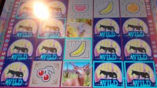 Coyote Moon Slot Machine Bonus with Retrigger + BIG Line Hit - 10 Free Games Win with Stacked Wilds