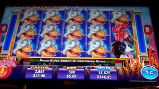 Crazy Goose Slot Machine Bonus - MAX BET - Free Spins Win